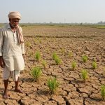 Heavy Rain in Delhi, But Drought in UP! No Monsoon For Next 5 Days, Farmers' Worries Mount