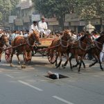 Moradabad's Horrifying Video: Buggy Snapped During Procession, Runaway Horses Plunged Into Drain, Hours-Long Rescue Followed