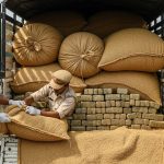 Cannabis Smuggling Busted in UP Under Guise of Husk: 2.71 Quintals Seized, Destined for Bareilly Restaurant, Smugglers Arrested