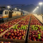 Railways to Run Special Parcel Train for Fresh Kashmir Apples; Nutritious Fruit to Reach Haryana-Delhi Markets