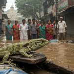 Delhi Flood Havoc: 'Rare Lizard' From Africa Stuns People, Causes Commotion