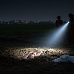 Sachendi Case: Husband brutally murdered over illicit affair; Body buried in field, salt added to decompose it; Wife and nephew reveal secret.