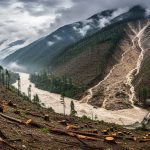 Supreme Court's Stern Remark: Humans Responsible for Mountain Devastation; Notice to Centre and 5 States for Illegal Felling