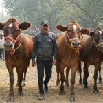 Former MLA in Sambhal accused of land grabbing and fraud, farmer leaders submit memorandum to SDM