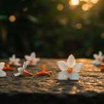 The English Name of Harsingar Flower That Few Knew, Now Revealed!