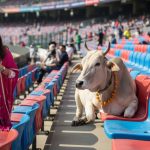 Woman booked seat online, arrived at stadium; what she saw in her spot blew her mind!