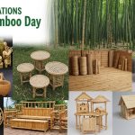 World Bamboo Day: Deep Lifelong Bond with Bamboo, Even Beyond Death; Forest Research Institute Develops 10 Advanced Varieties